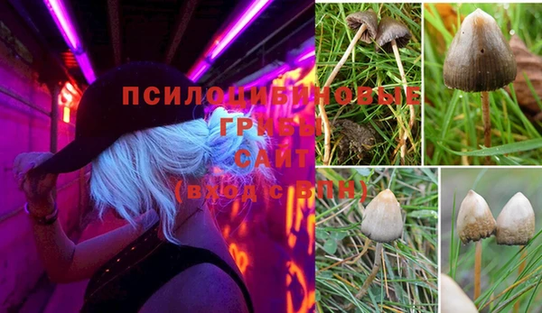 apvp Абинск