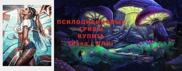 apvp Абинск