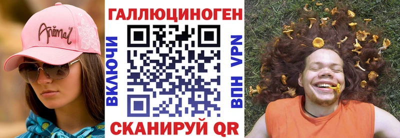 купить наркотик  Якутск  Псилоцибиновые грибы GOLDEN TEACHER 